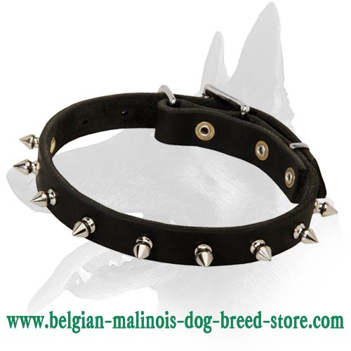 Spiked Leather Collar for Belgian Malinois