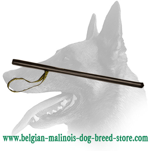 Belgian Malinois Agitation Stick Ideal For Schutzhund Dog Training