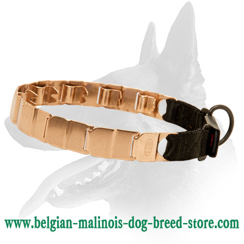 Belgian Malinois Curogan Neck Tech Dog Prong Collar with Click Lock Buckle