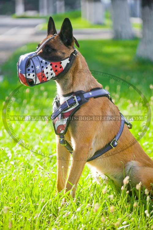 American Flag Leather Harness for Belgian Malinois