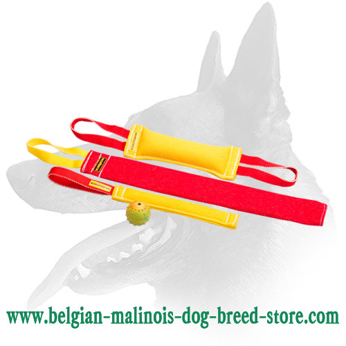 Belgian malinois training toys 2025