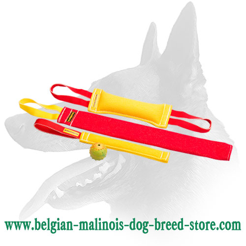 Get Belgian Malinois Bite Tugs Set