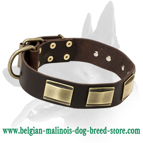 Designer Leather Collar With Vintage Plates