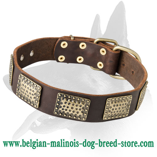 Designer Leather Collar With Old Brass Plates