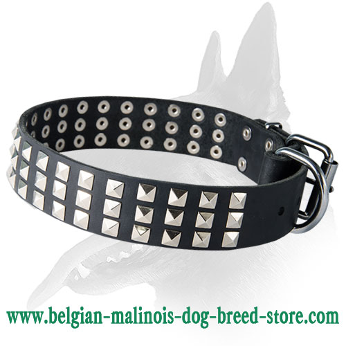 Stylish Leather Collar With Steel Nickel Plated Cones