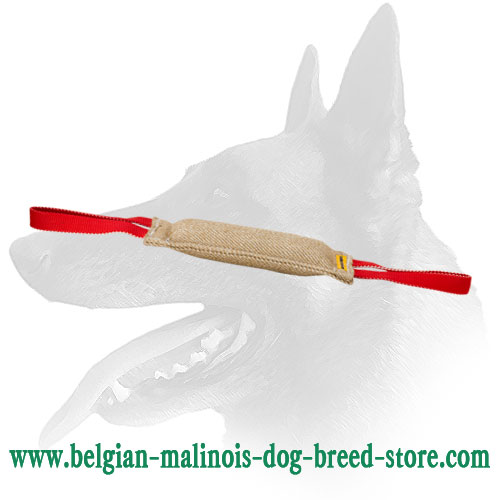 High Quality Jute Tug for Belgian Malinois puppy