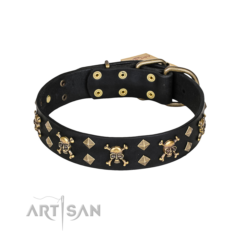 'Jolly Rojer' FDT Artisan Leather Belgian Malinois Collar with Pirate Skulls and Studs - 1 1/2 inch (40 mm) wide