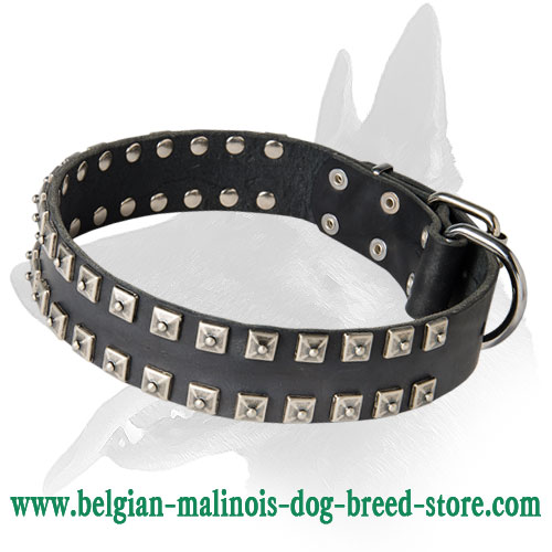 Elegant Leather Collar With Extravagant Cones - Click Image to Close