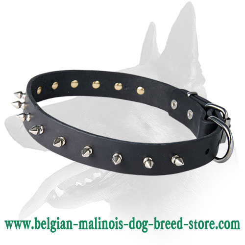 Stylish Leather Colllar With One Row Of Spikes
