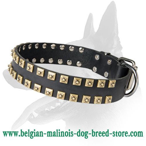 Stylish Leather Collar With Studs "Caterpillar"