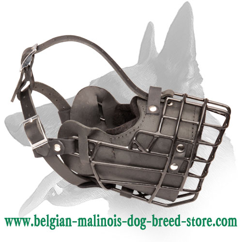 Incredible Fully Padded Wire Cage Muzzle for Your Belgian Malinois