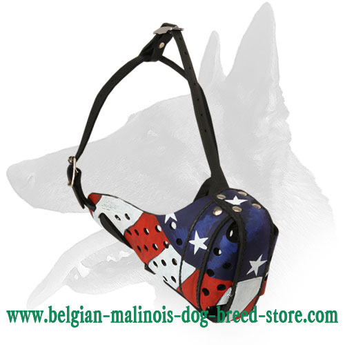Belgian Malinois Muzzle for Dog Training