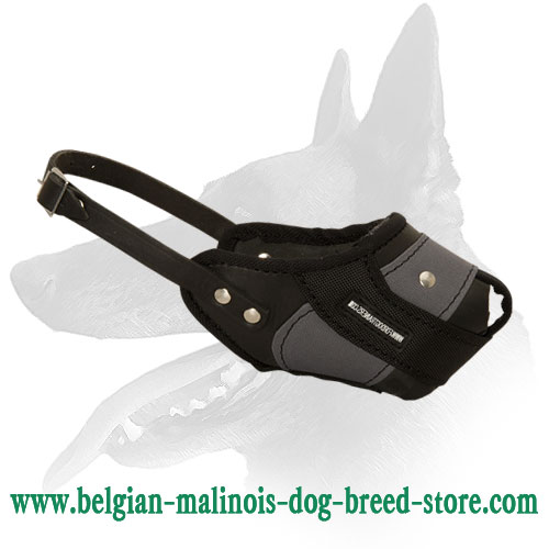 Splendid Belgian Malinois Training Muzzle Made of Leather & Nylon