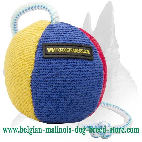 35% OFF - LIMITED OFFER! Attractive Variegated Bite Toy for training your Belgian Malinois