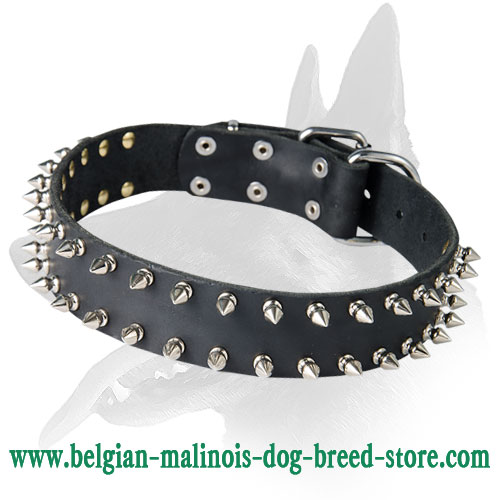 Gorgeous Leather Collar With Two Rows Of Spikes
