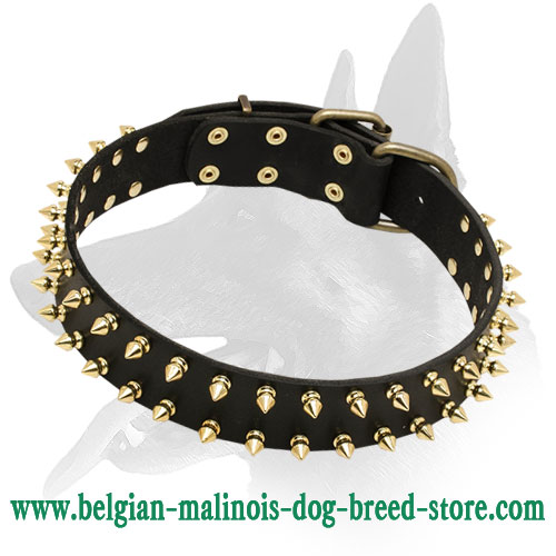 Belgian Malinois "Unveiled Luxury" Leather Dog Collar for Walking