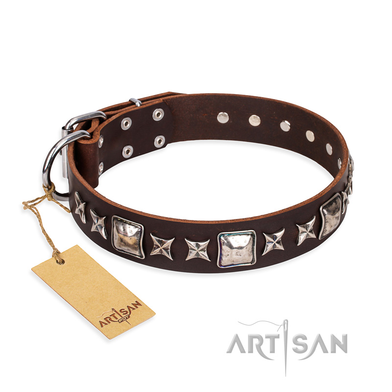 'Perfect Impression' FDT Artisan Belgian Malinois Brown Leather Dog Collar with Silvery Square Studs - 1 1/2 inch (40 mm) Wide
