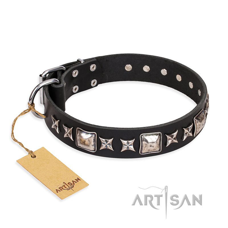'Space Walk' FDT Artisan Black Leather Belgian Malinois Collar with Beautiful Adornments