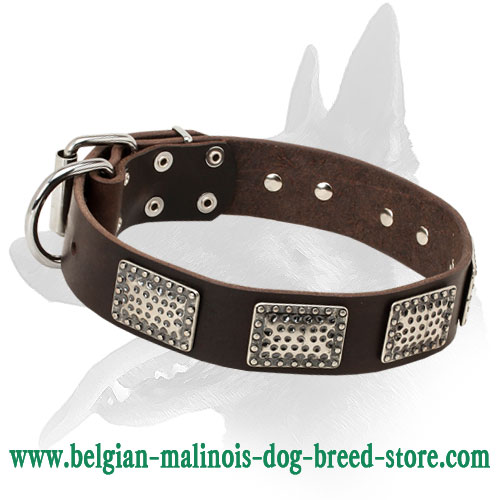 Super Stylish War Leather Dog Collar for Belgian Malinois