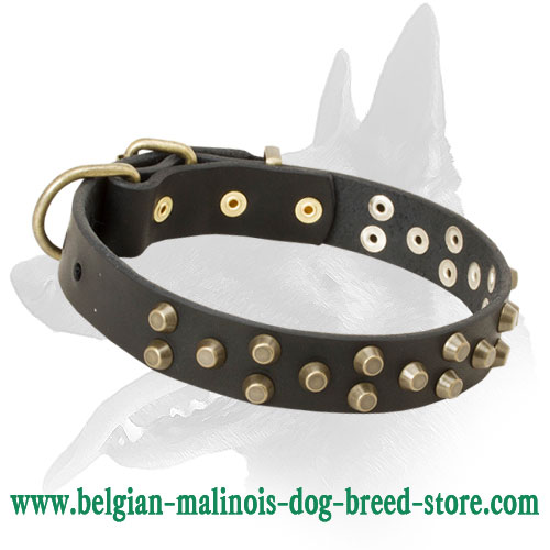 Belgian Malinois Leather Dog Collar with Brass Pyramids - "Galaxy Trip"