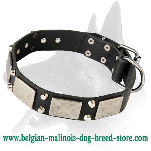 Fancy Leather Collar With Vintage Plates and Cones