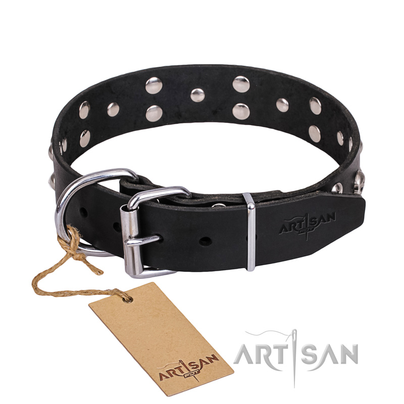 FDT Artisan 'Mystic Skulls' Decorated Leather Belgian Mallinois Dog Collar with Skulls and Studs 1 1/2 inch (40 mm)