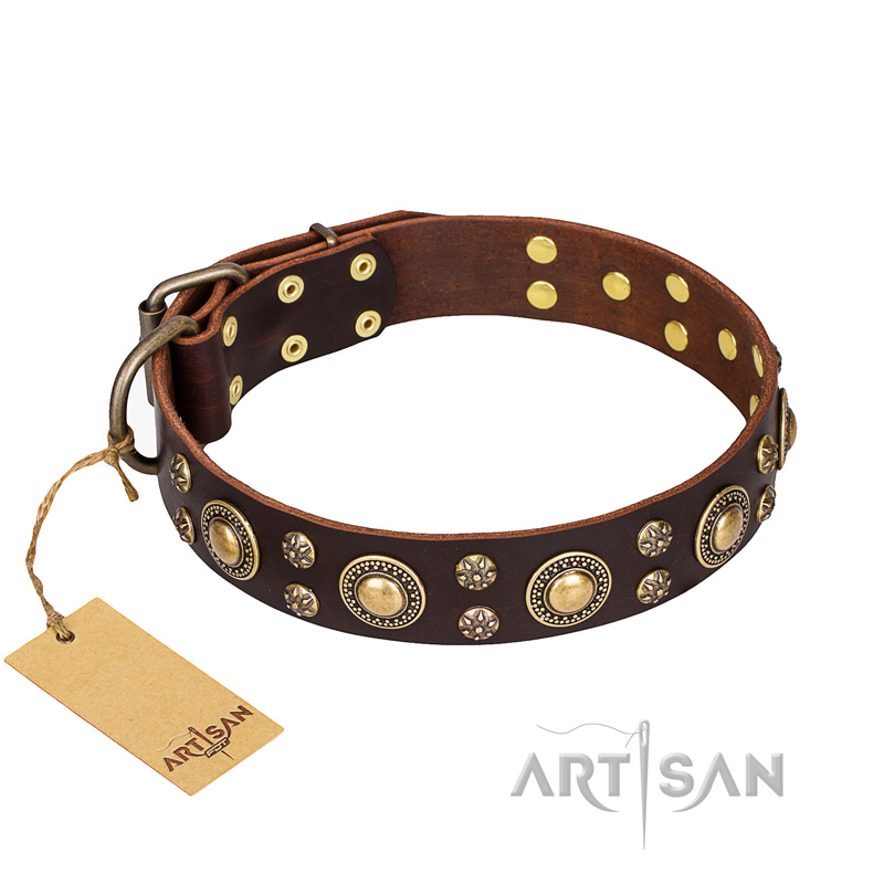 'Flower Melody' FDT Artisan Brown Leather Belgian Malinois Collar with Mixed Studs