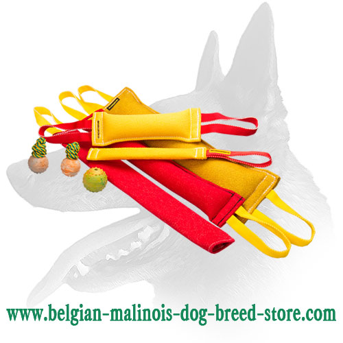 Buy Now Belgian Malinois Ultimate Dog Training Set and Get 3 Amazing Gifts ( value $17.2)
