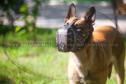 Comfy Leather Muzzle for Belgian Malinois