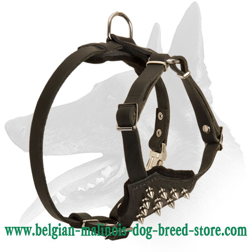 'Full Control' Strong and Stylish Belgian Malinois Puppy Harness