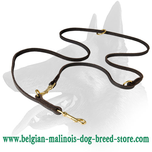 Soft and Gentle Belgian Malinois Dog Leash