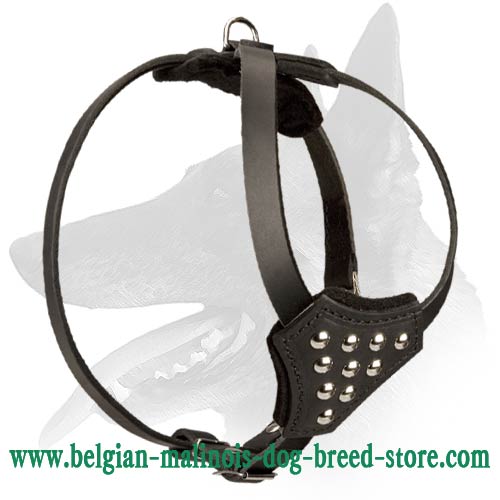 'Puppy's Dream' Luxurious Studded Belgian Malinois Harness