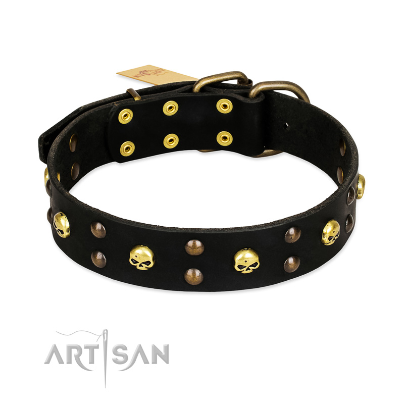 FDT Artisan 'Heavy Metal' Leather Belgian Malinois Collar with Skulls and Studs 1 1/2 inch (40 mm)