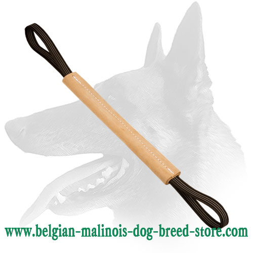 Belgian Malinois Hard pocket Bite Roll Made of Leather with Handles