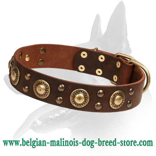 "Space-like" Belgian Malinois Dog Collar - Click Image to Close