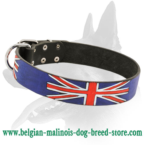 'Union Jack' Belgian Malinois Dog Collar