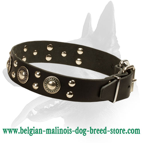 'Rock n Roll' Luxurious Belgian Malinois Leather Dog Collar