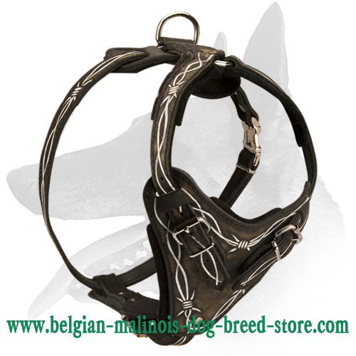 "Barbed Wire" Painted Leather Harness for Belgian Malinois