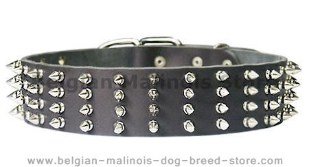 Fashionable Leather Collar With Spikes For Belgian Malinois