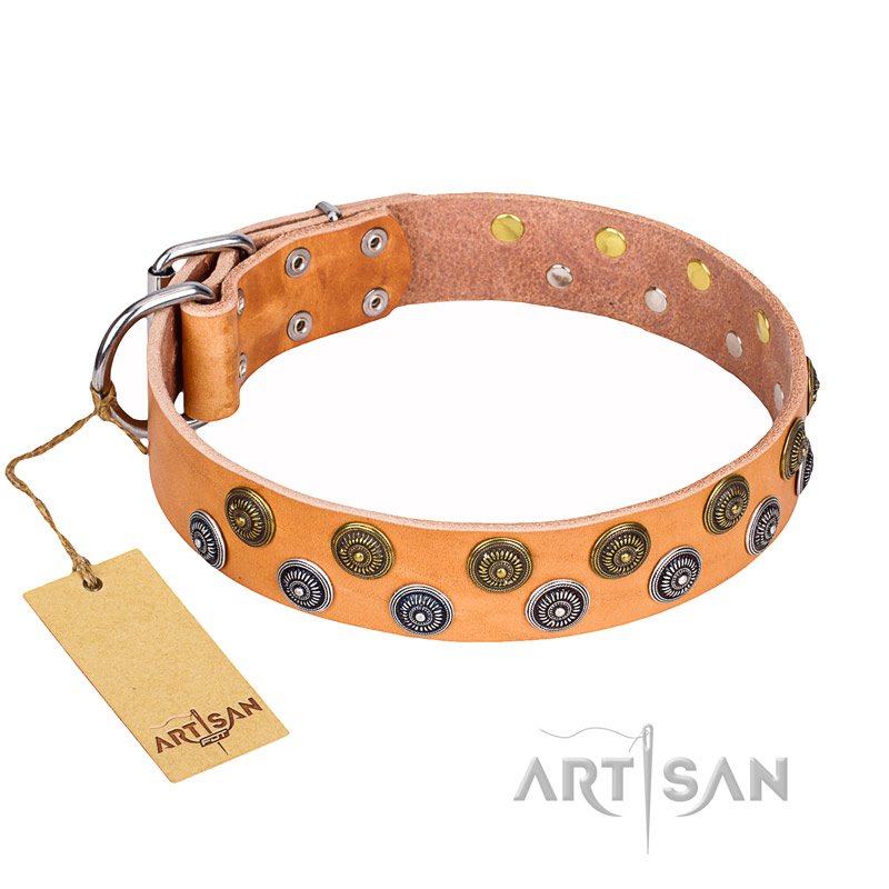 "Precious Sparkle" FDT Artisan Leather Cane Corso Collar with Unique Decor - 1 1/2 inch (40 mm) wide - Click Image to Close