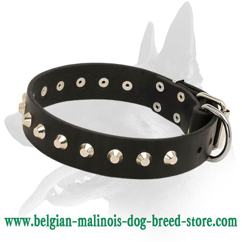 "Daily Elegance" Leather Dog Collar with Nickel-Plated Pyramids for Belgian Malinois