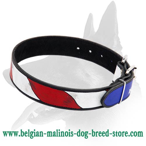 American Flag Collar for Belgian Malinois