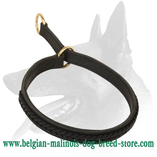Leather Choke Collar for Belgian Malinois