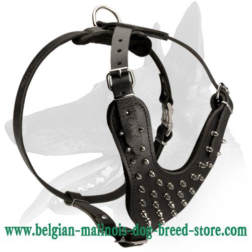 Spiked Leather Harness for Belgian Malinois