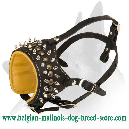 Spiked and Studded Leather Muzzle for Belgian Malinois