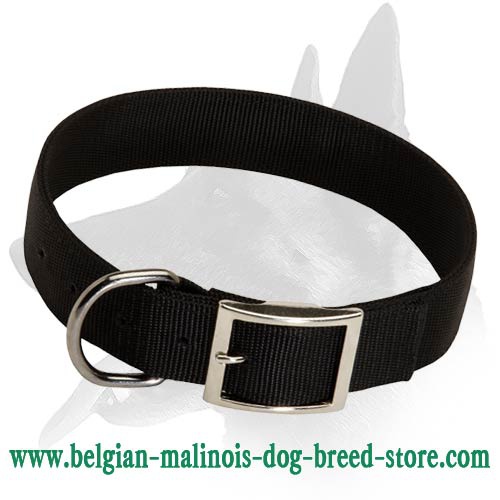 2 Ply Nylon Collar for Belgian Malinois