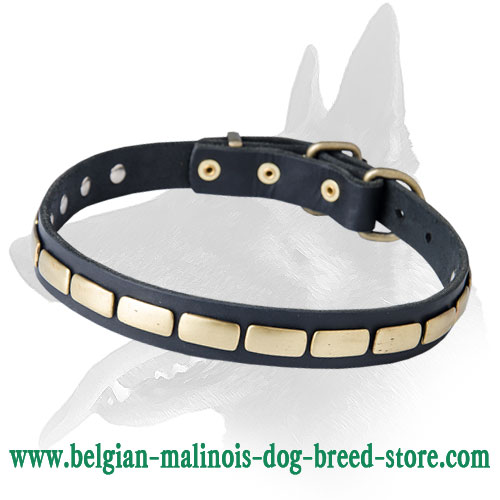 Trendy Leather Collar With Antiques Plates
