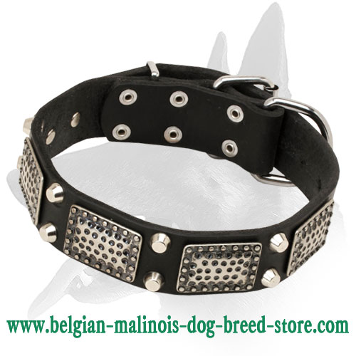 Stunning Leather Collar With Nickel Plates And Cones - Click Image to Close