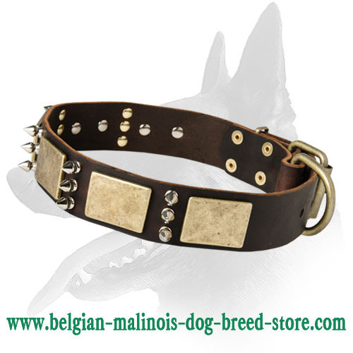 Vintage Leather Collar With Brass Plates And Spikes