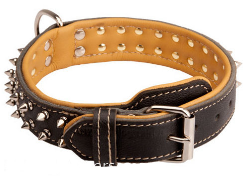 Luxurious Nappa Padded Leather Collar With Spikes